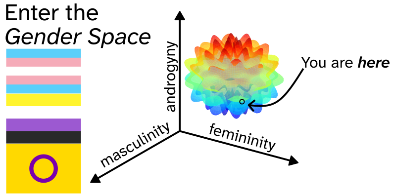 A 3D plot with axes labeled 'masculinity', 'femininity', and 'androgyny' and a rough, bumpy, but somewhat spherical shape plotted. A point is circled; an arrow and text reading 'You are here' indicate the circle. To the left of the plot are the transgender, nonbinary, and intersex pride flags, along with the words 'Enter the Gender Space'.